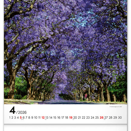 Presco Inspiration Kalender 2026