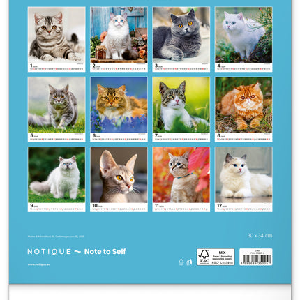 Presco Katten Kalender 2026