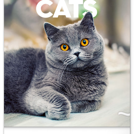Presco Katten Kalender 2026