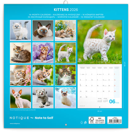 Presco Kittens Kalender 2026