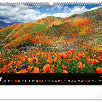 Presco Landscapes Kalender 2027