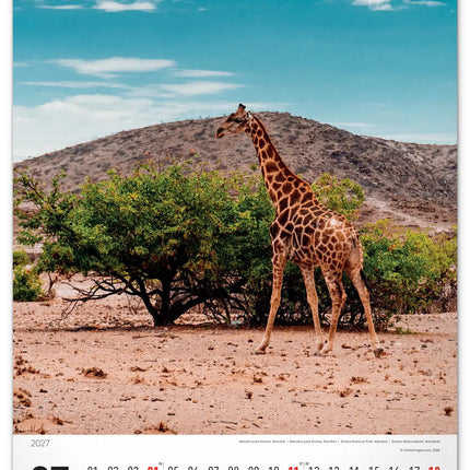 Presco National Parks Kalender 2027 Groot