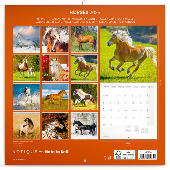 Presco Paarden Kalender 2026