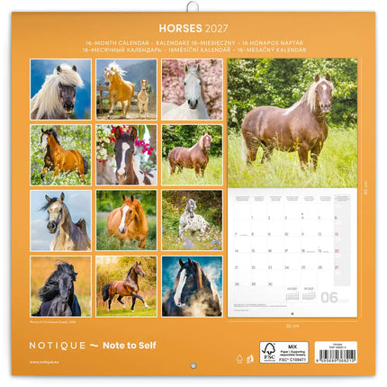 Presco Paarden Kalender 2027