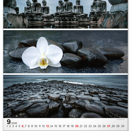 Presco Palette Kalender 2026 Groot