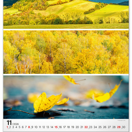 Presco Palette Kalender 2026 Groot
