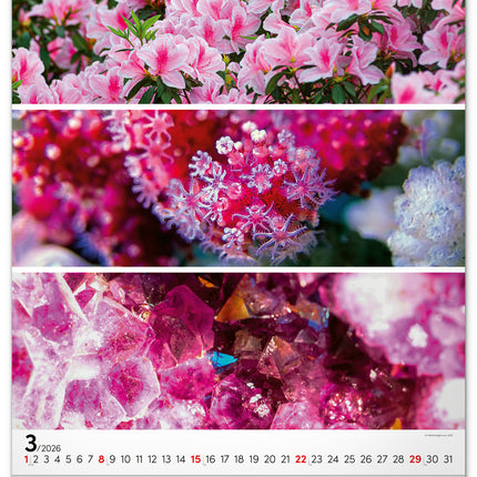 Presco Palette Kalender 2026 Groot