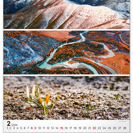 Presco Palette Kalender 2026 Groot