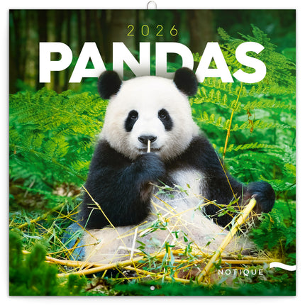 Presco Panda Kalender 2027