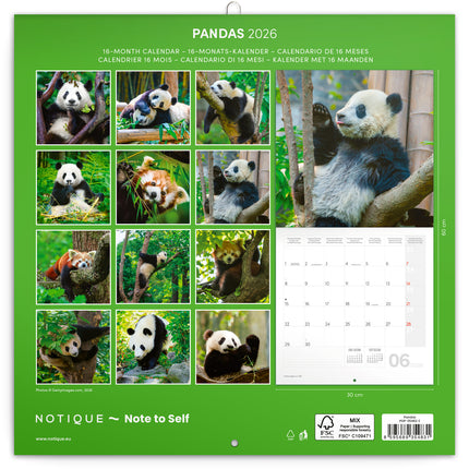 Presco Panda Kalender 2027