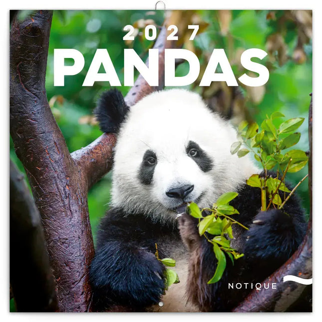 Presco Panda Kalender 2027