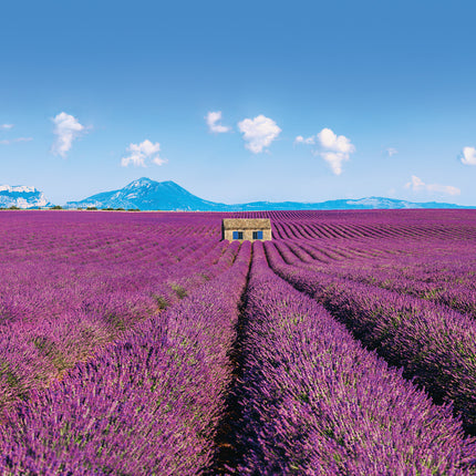 Presco Provence Kalender 2026