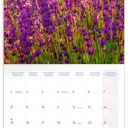 Presco Provence Kalender 2026
