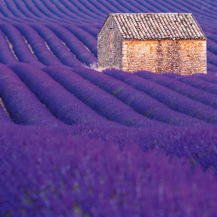 Presco Provence Kalender 2026