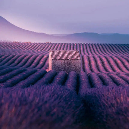 Presco Provence Kalender 2027