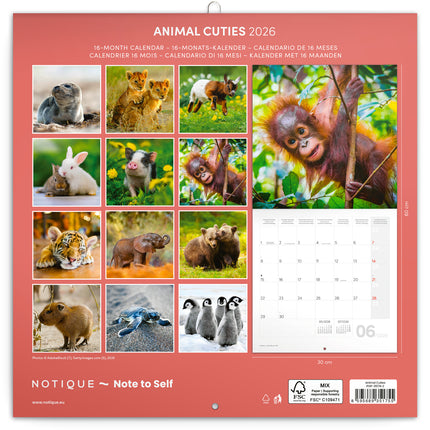 Presco Schattige Dieren Kalender 2026