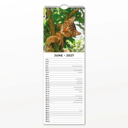 Red Robin Adorable Cats Slimline Kalender 2027