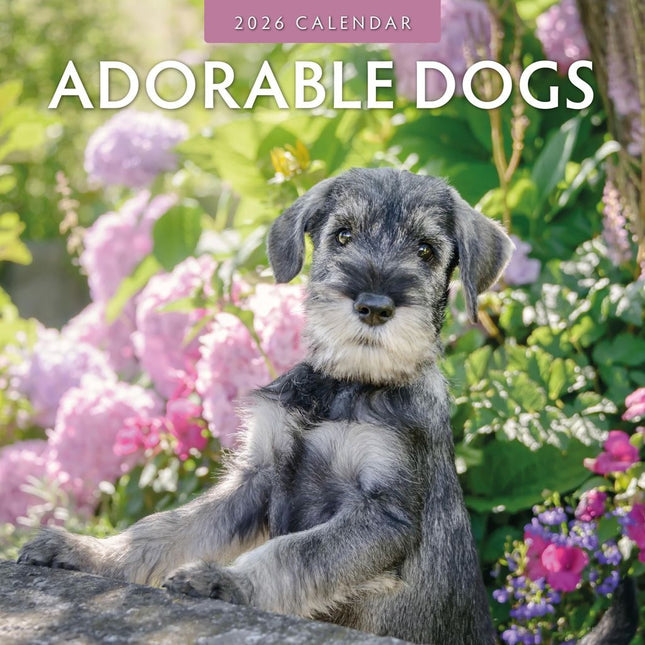 Red Robin Adorable Dogs Kalender 2026