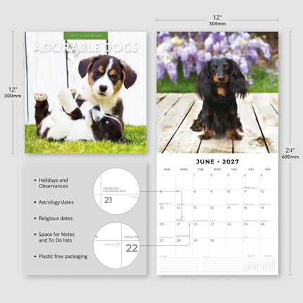 Red Robin Adorable Dogs Kalender 2027
