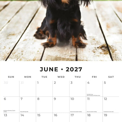 Red Robin Adorable Dogs Kalender 2027