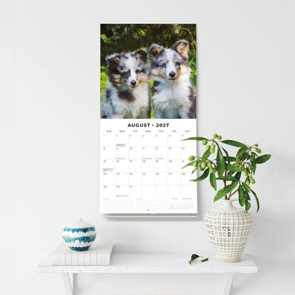 Red Robin Adorable Dogs Kalender 2027