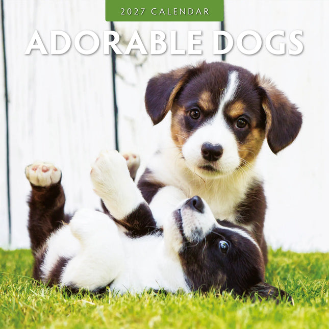 Red Robin Adorable Dogs Kalender 2027