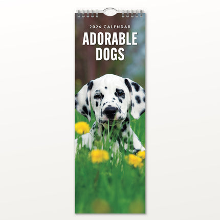 Red Robin Adorable Dogs Slimline Kalender 2026