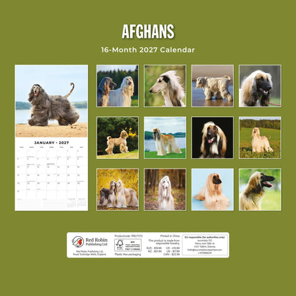 Red Robin Afghaanse Windhond Kalender 2027