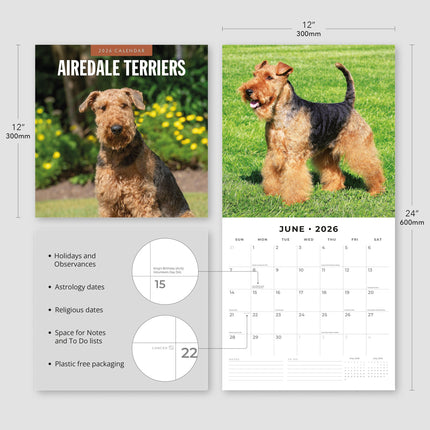 Red Robin Airedale Terrier Kalender 2026