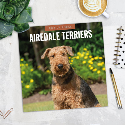 Red Robin Airedale Terrier Kalender 2026