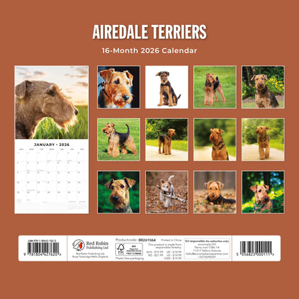 Red Robin Airedale Terrier Kalender 2026