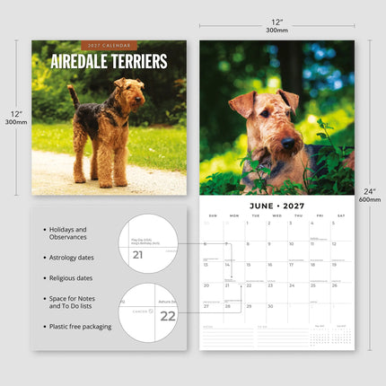 Red Robin Airedale Terrier Kalender 2027