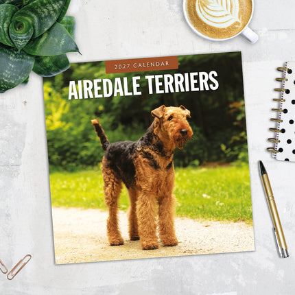 Red Robin Airedale Terrier Kalender 2027