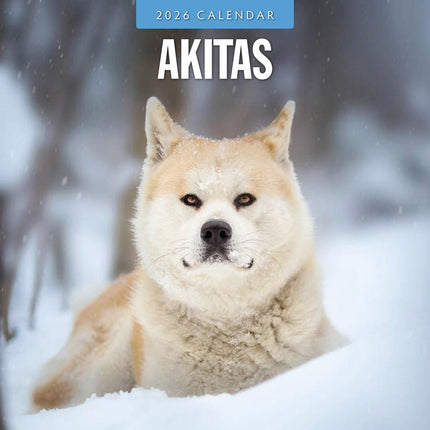 Red Robin Akita Kalender 2026