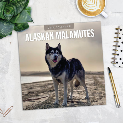 Red Robin Alaskan Malamute Kalender 2026