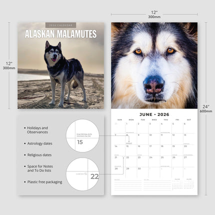 Red Robin Alaskan Malamute Kalender 2026