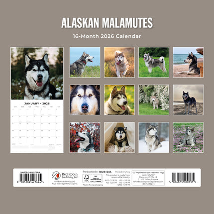 Red Robin Alaskan Malamute Kalender 2026