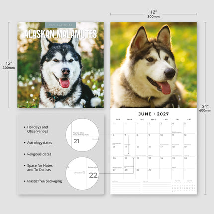 Red Robin Alaskan Malamute Kalender 2027