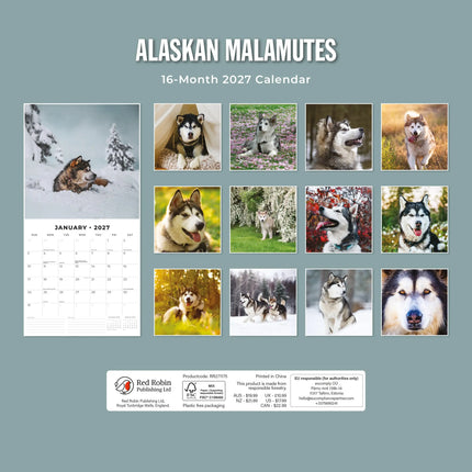 Red Robin Alaskan Malamute Kalender 2027