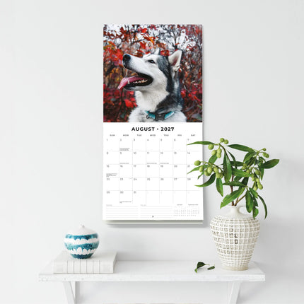Red Robin Alaskan Malamute Kalender 2027