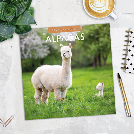 Red Robin Alpaca Kalender 2026