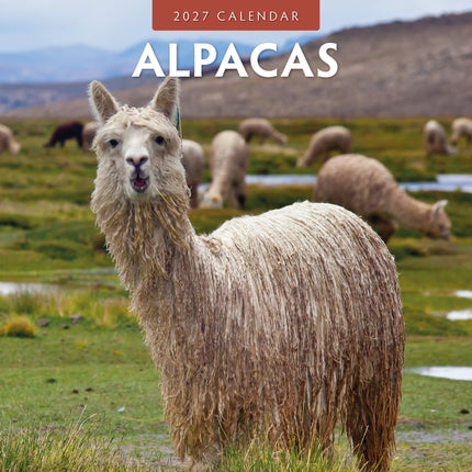 Red Robin Alpaca Kalender 2027