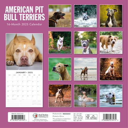 Red Robin American Pit Bull Terrier Kalender 2025