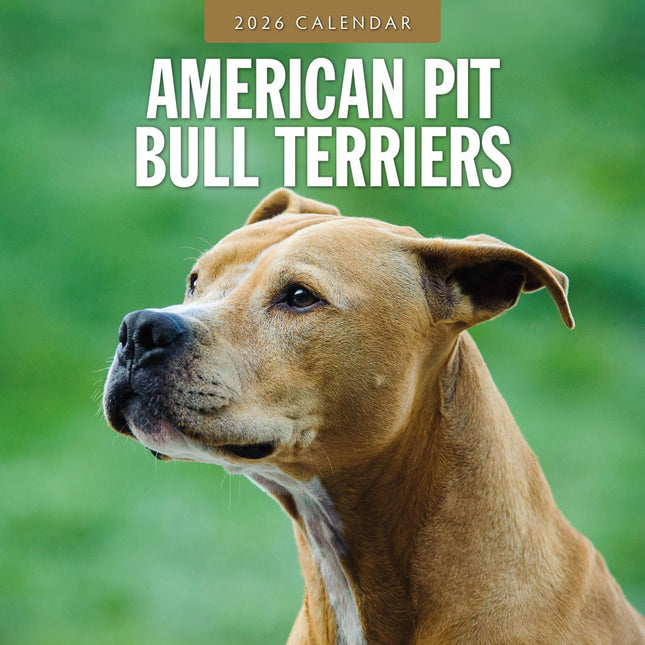 Red Robin American Pit Bull Terrier Kalender 2026