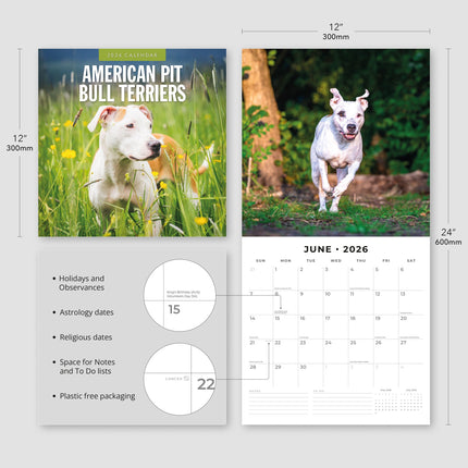 Red Robin American Pit Bull Terrier Kalender 2026
