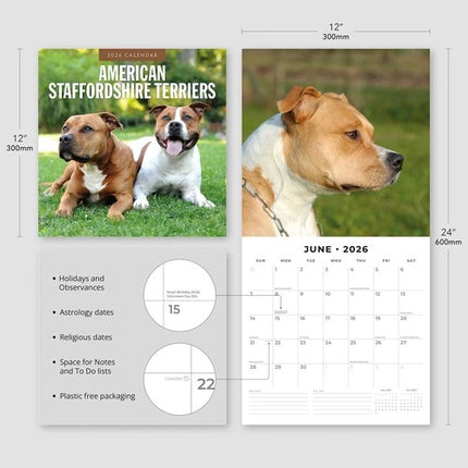 Red Robin American Staffordshire Terrier Kalender 2026