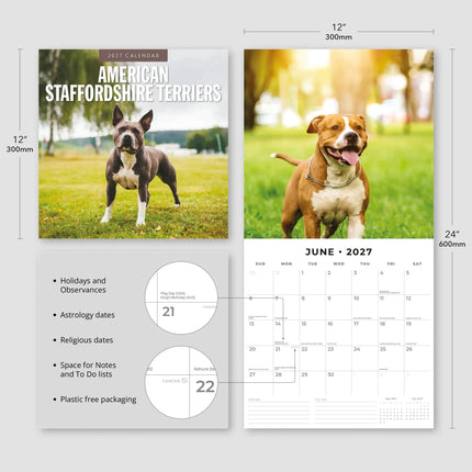 Red Robin American Staffordshire Terrier Kalender 2027