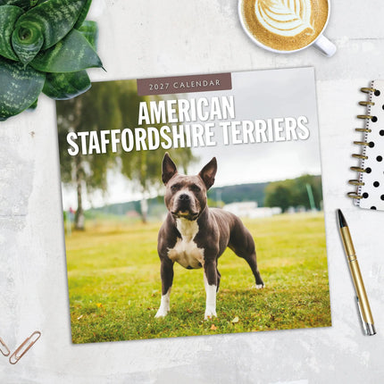 Red Robin American Staffordshire Terrier Kalender 2027