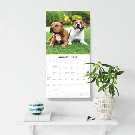 Red Robin American Staffordshire Terrier Kalender 2027