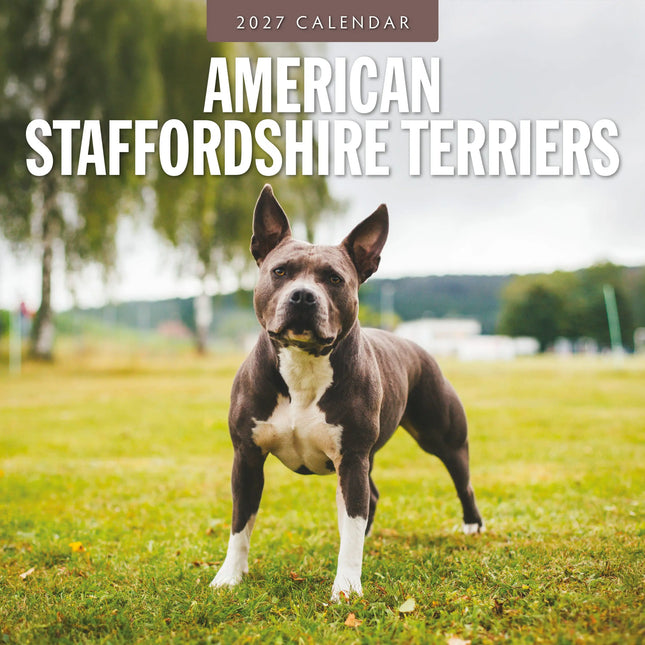 Red Robin American Staffordshire Terrier Kalender 2027